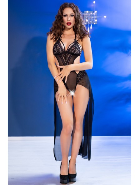 CR 4684 Body