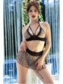 CR 4499 Leopard Komplet