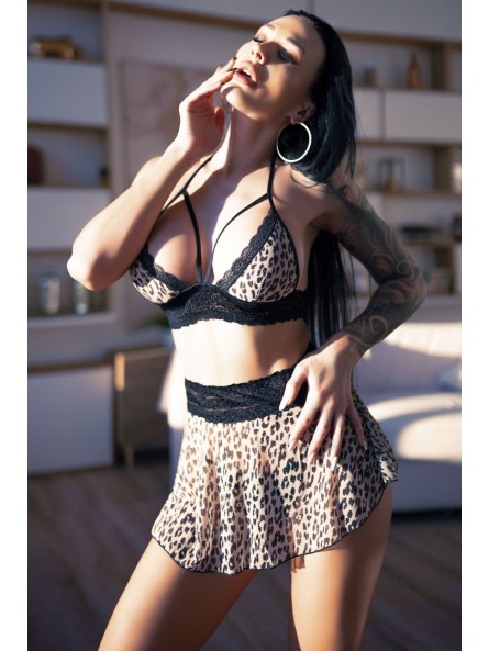 CR 4499 Leopard Komplet