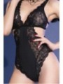 CR 4495 Body